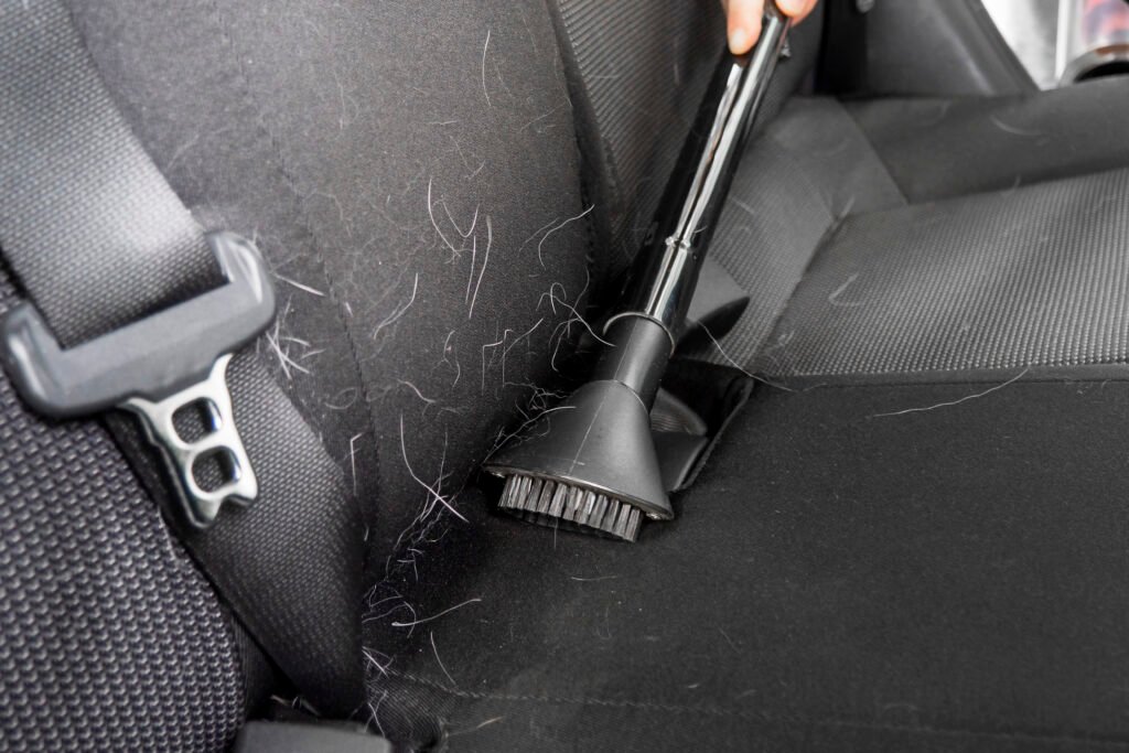Sièges de voiture couverts de poils d'animaux avant nettoyage