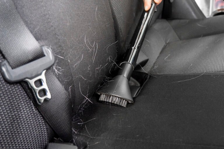 Sièges de voiture couverts de poils d'animaux avant nettoyage