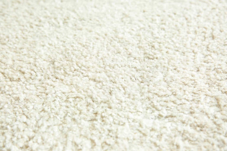 Tapis clair après détachage et nettoyage